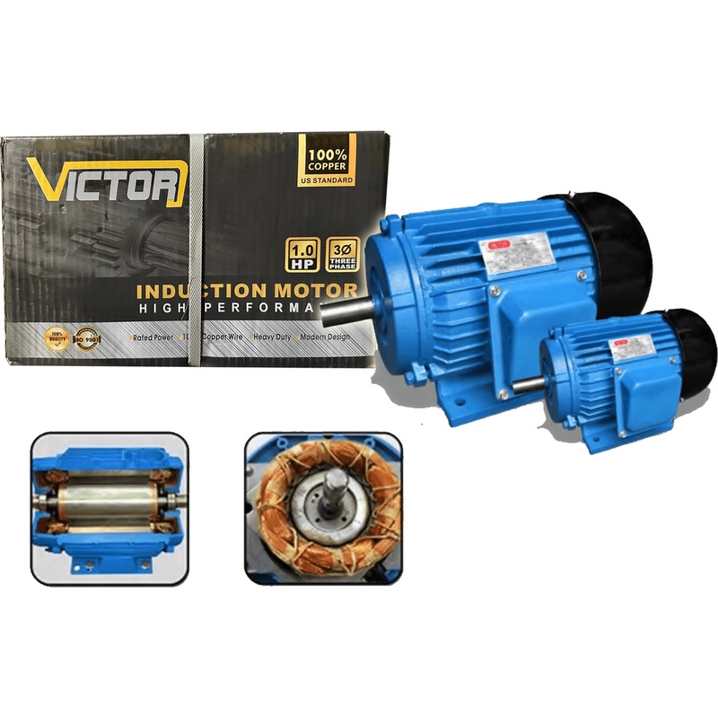 Victor Electric Induction Motor (Copper)