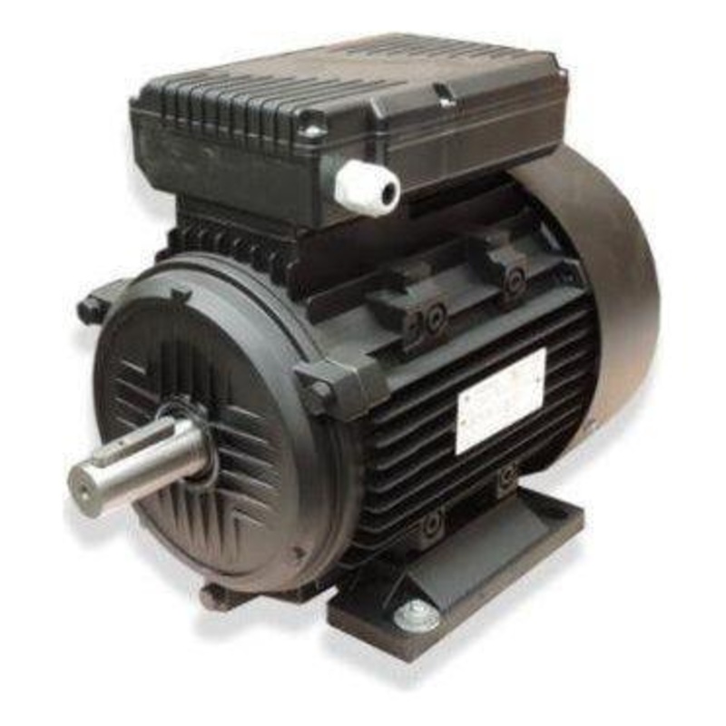 Armada Electric Induction Motor (DL Series)