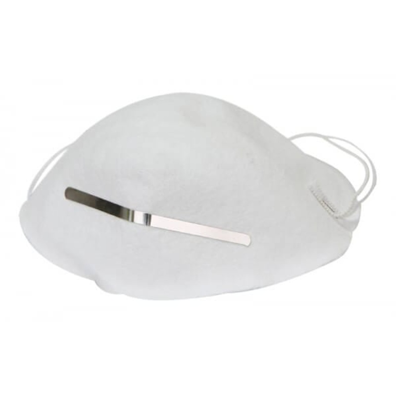 10pc Nuisance Dust Mask