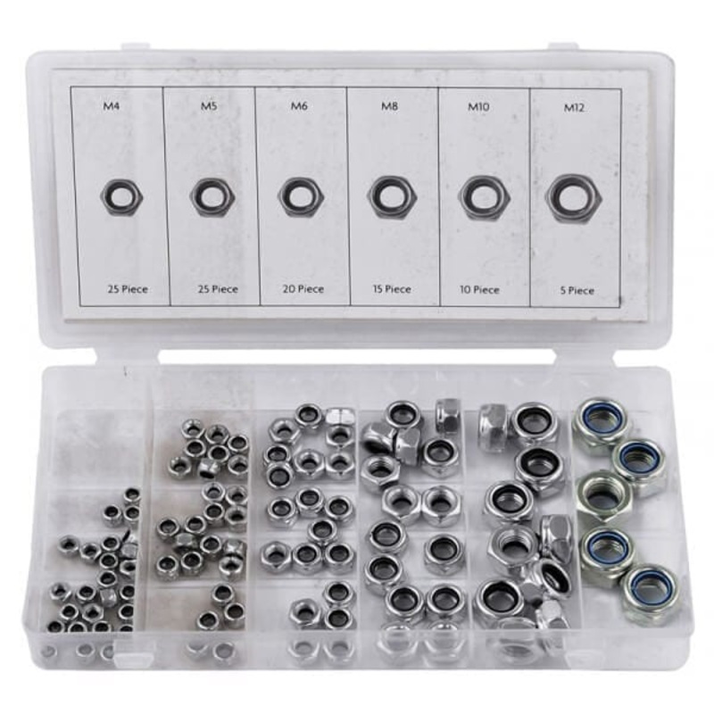 100pc Locknut Assortment