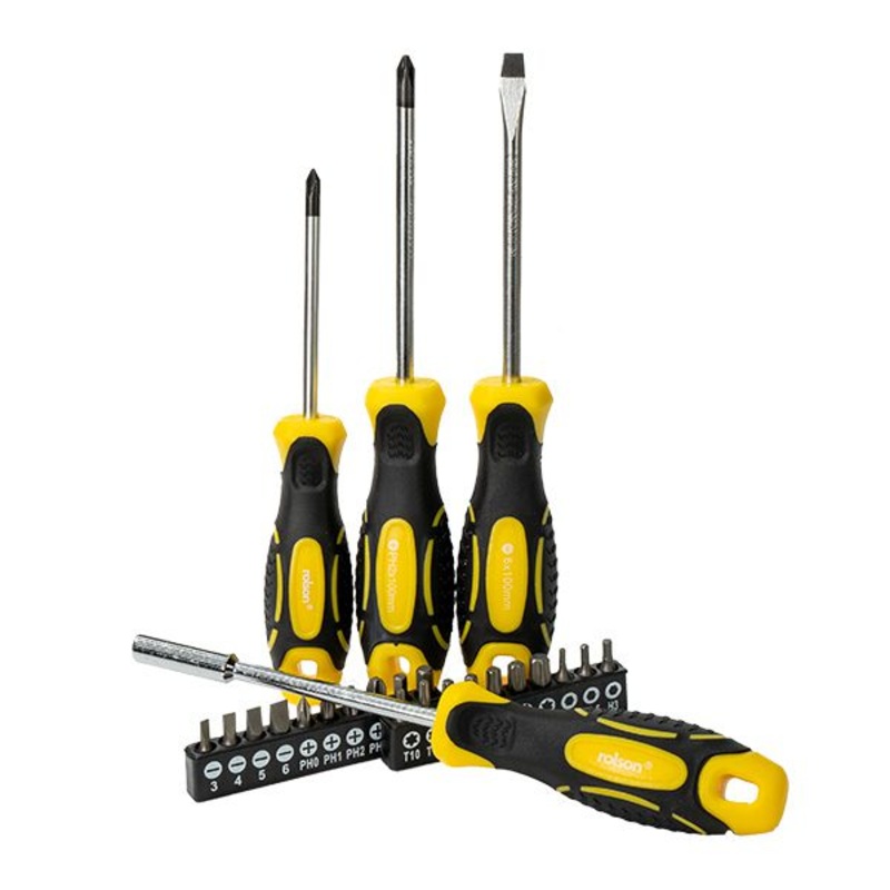 Screwdriver and Bit set with Driver ( 28396 ): 24 pieces